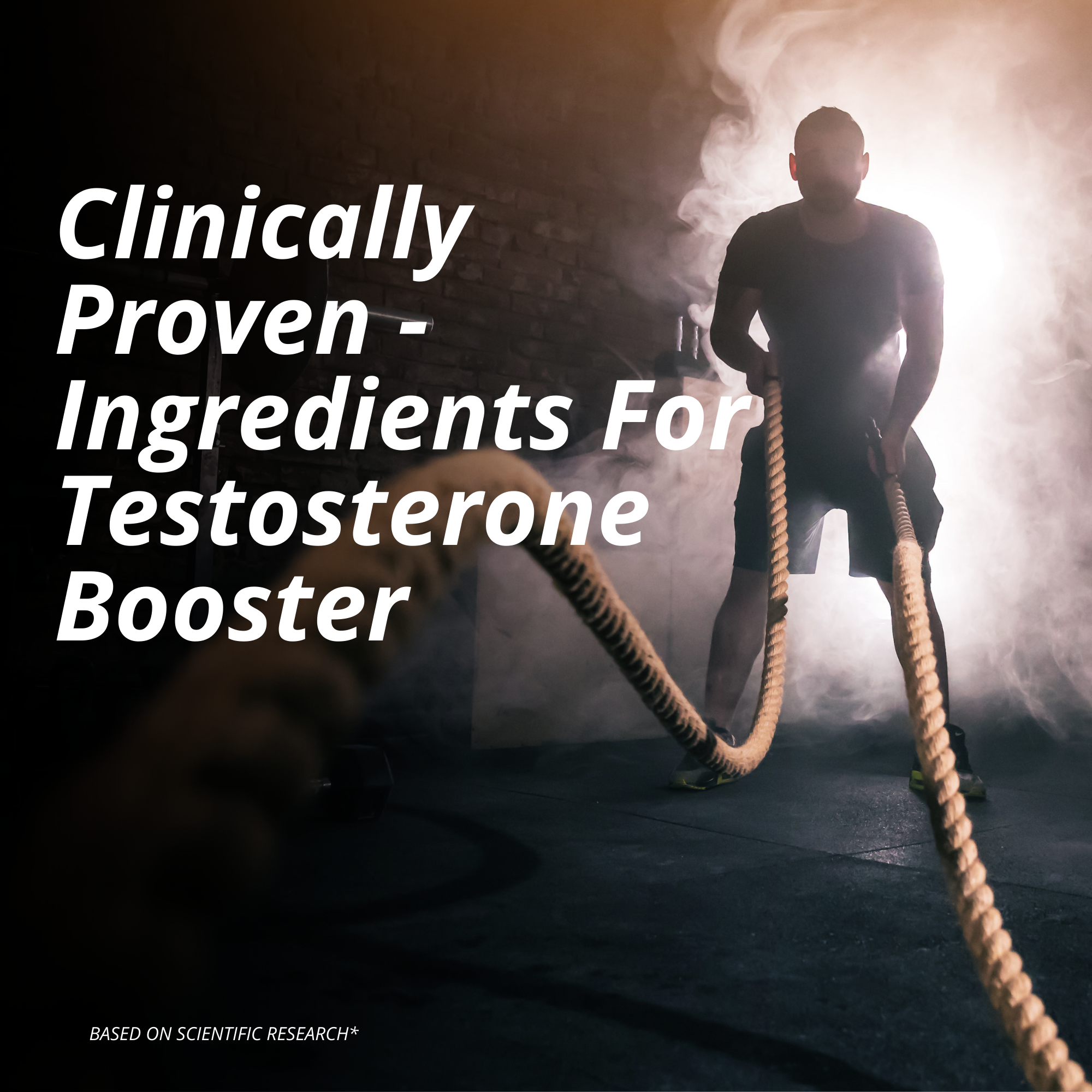 Shilajit Gold Pro Capsules