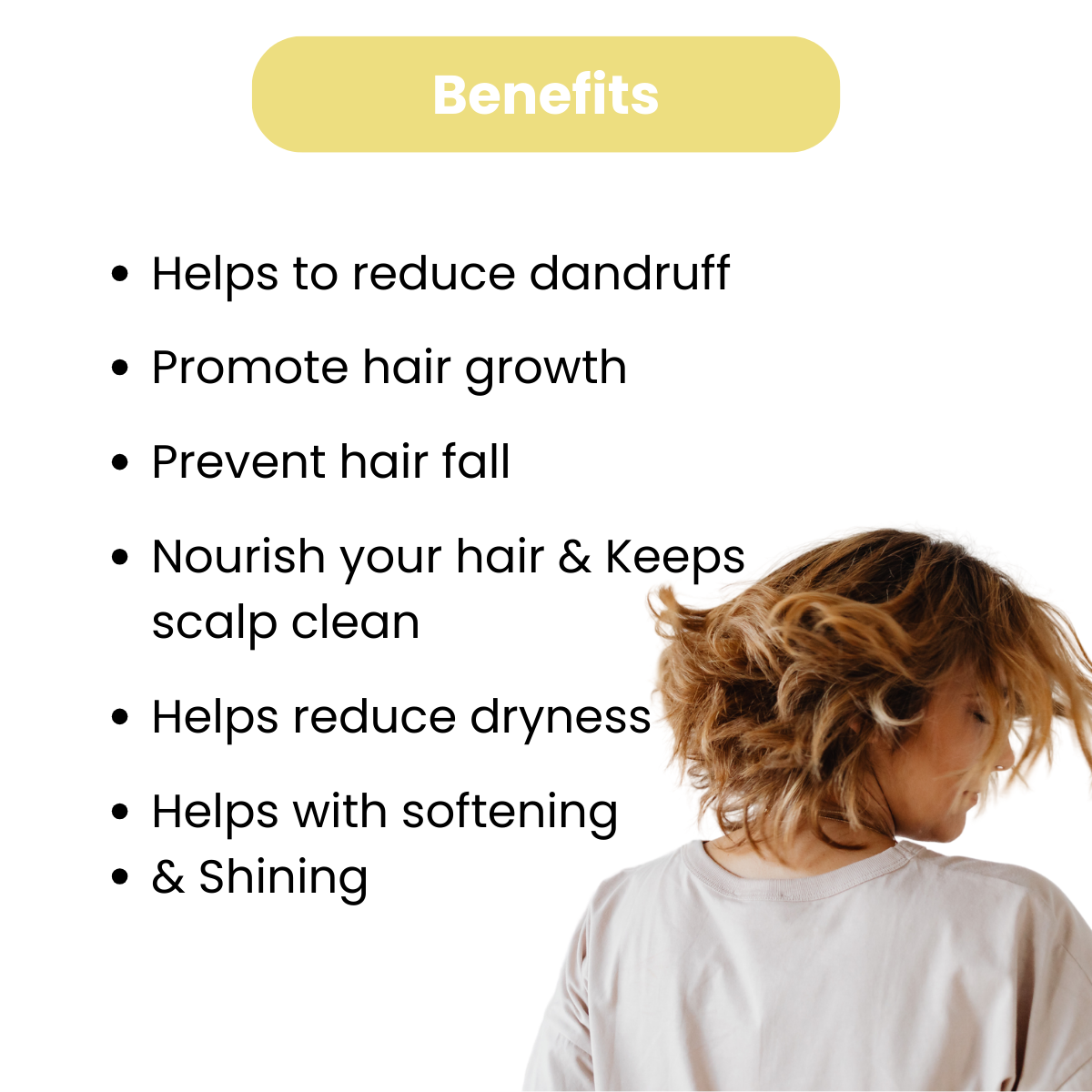 Mountain's Arnica - Arnica Montana Shampoo For Dandruff