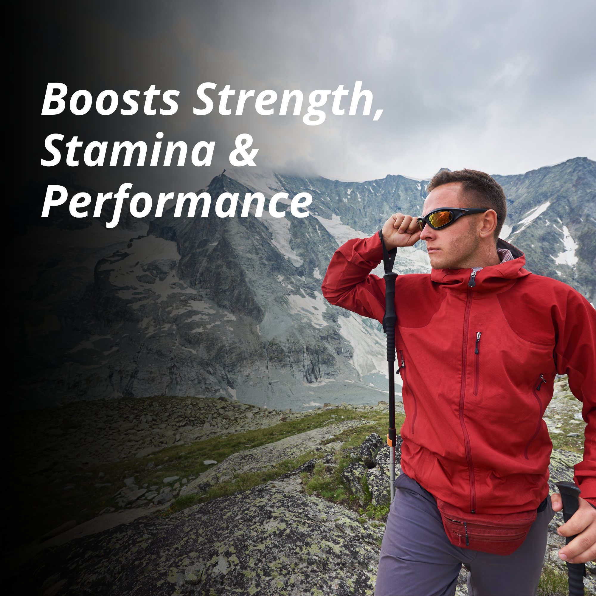 Shilajit Gold Pro Capsules